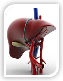 Package for Cirrhosis of Liver