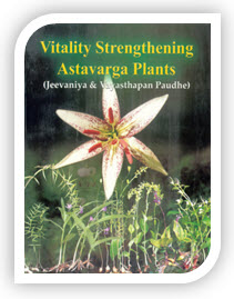 Vitality Strengthening Astavarga Plants Book English by Acharya Balkrishna